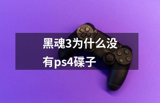 黑魂3为什么没有ps4碟子-第1张-游戏资讯-龙启科技