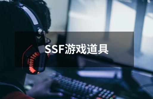 SSF游戏道具-第1张-游戏资讯-龙启科技