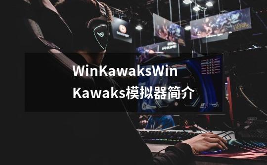 WinKawaksWinKawaks模拟器简介-第1张-游戏资讯-龙启科技