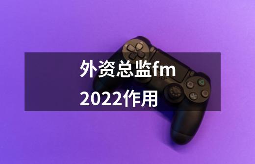 外资总监fm2022作用-第1张-游戏资讯-龙启科技