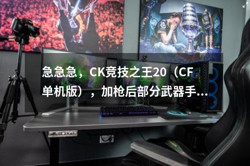 急急急，CK竞技之王2.0（CF单机版），加枪后部分武器手臂贴图错乱，手臂变白色。求大神解答疑惑！_ck竞技之王
单机-第1张-游戏资讯-龙启科技