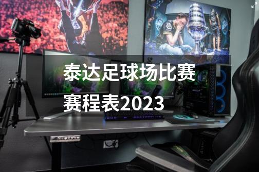 泰达足球场比赛赛程表2023-第1张-游戏资讯-龙启科技