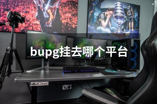 bupg挂去哪个平台-第1张-游戏资讯-龙启科技