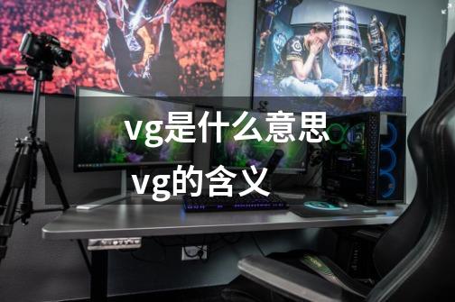 vg是什么意思 vg的含义-第1张-游戏资讯-龙启科技