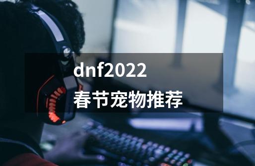 dnf2022春节宠物推荐-第1张-游戏资讯-龙启科技