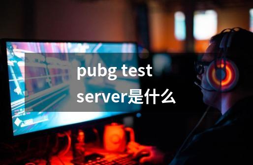 pubg test server是什么-第1张-游戏资讯-龙启科技