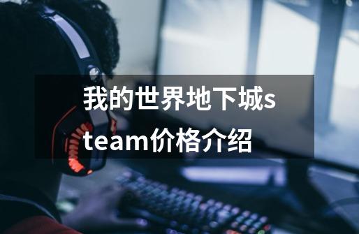 我的世界地下城steam价格介绍-第1张-游戏资讯-龙启科技