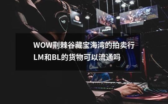 WOW荆棘谷藏宝海湾的拍卖行LM和BL的货物可以流通吗-第1张-游戏资讯-龙启科技