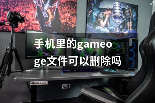 手机里的game.oge文件可以删除吗-第1张-游戏资讯-龙启科技