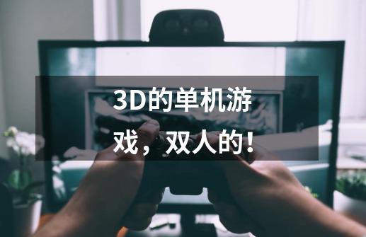 3D的单机游戏，双人的！-第1张-游戏资讯-龙启科技