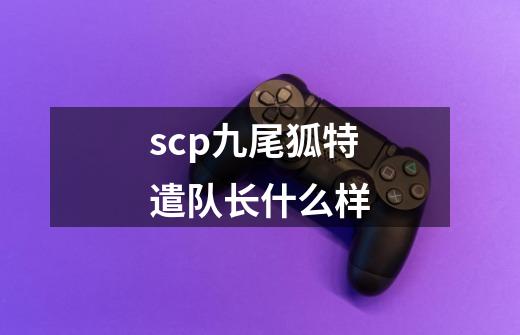 scp九尾狐特遣队长什么样-第1张-游戏资讯-龙启科技