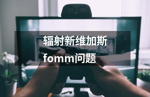 辐射新维加斯fomm问题-第1张-游戏资讯-龙启科技