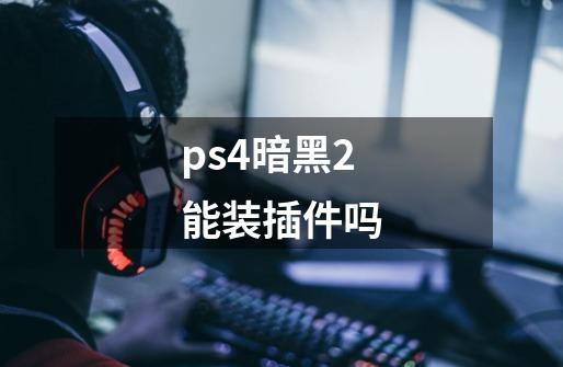 ps4暗黑2能装插件吗-第1张-游戏资讯-龙启科技