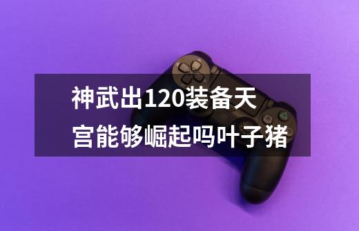 神武出120装备天宫能够崛起吗叶子猪-第1张-游戏资讯-龙启科技