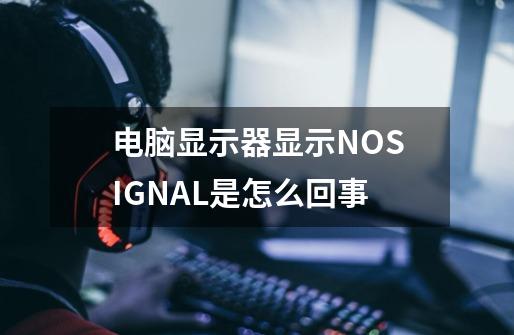 电脑显示器显示NOSIGNAL是怎么回事-第1张-游戏资讯-龙启科技