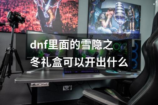 dnf里面的雪隐之冬礼盒可以开出什么-第1张-游戏资讯-龙启科技