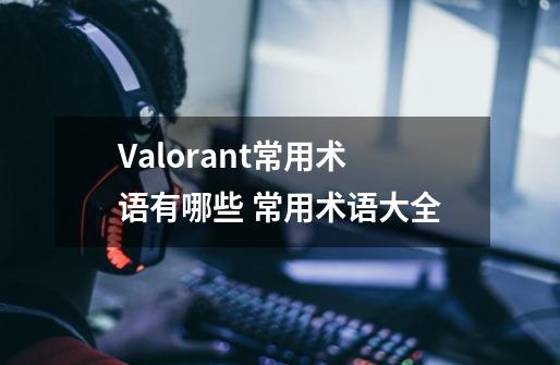 Valorant常用术语有哪些 常用术语大全-第1张-游戏资讯-龙启科技