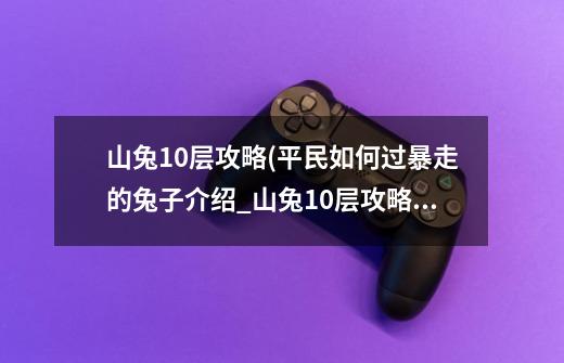 山兔10层攻略(平民如何过暴走的兔子介绍_山兔10层攻略(平民如何过暴走的兔子是什么-第1张-游戏资讯-龙启科技