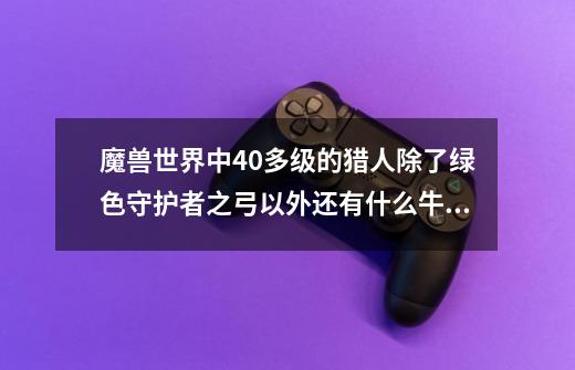 魔兽世界中40多级的猎人除了绿色守护者之弓以外还有什么牛掰一点的弓-第1张-游戏资讯-龙启科技