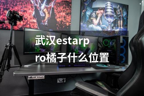 武汉estarpro橘子什么位置-第1张-游戏资讯-龙启科技