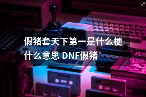 假猪套天下第一是什么梗什么意思 DNF假猪-第1张-游戏资讯-龙启科技