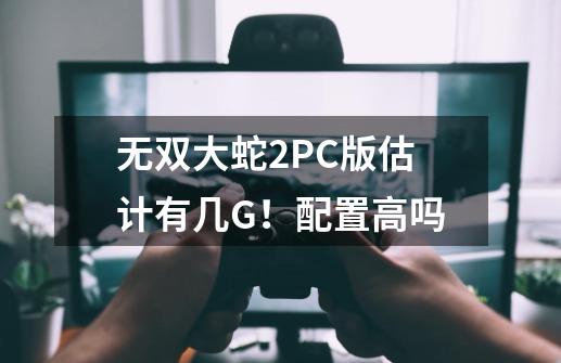 无双大蛇2PC版估计有几G！配置高吗-第1张-游戏资讯-龙启科技