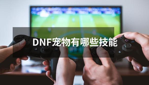 DNF宠物有哪些技能-第1张-游戏资讯-龙启科技