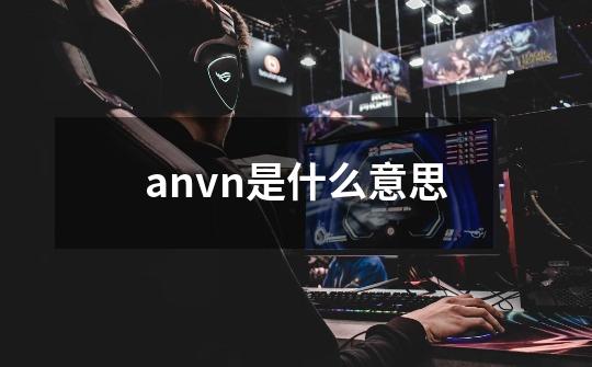 anvn是什么意思-第1张-游戏资讯-龙启科技