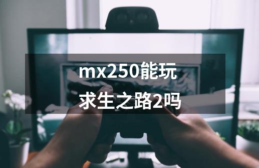 mx250能玩求生之路2吗-第1张-游戏资讯-龙启科技