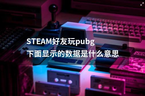 STEAM好友玩pubg下面显示的数据是什么意思-第1张-游戏资讯-龙启科技