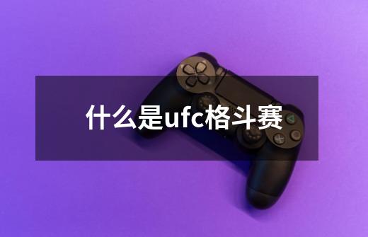 什么是ufc格斗赛-第1张-游戏资讯-龙启科技