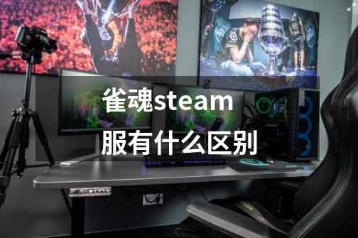 雀魂steam服有什么区别-第1张-游戏资讯-龙启科技