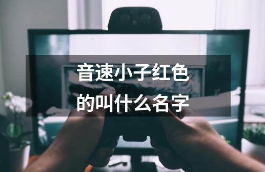 音速小子红色的叫什么名字-第1张-游戏资讯-龙启科技