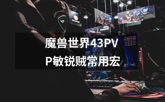 魔兽世界4.3PVP敏锐贼常用宏-第1张-游戏资讯-龙启科技