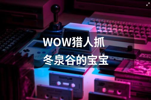 WOW猎人抓冬泉谷的宝宝-第1张-游戏资讯-龙启科技