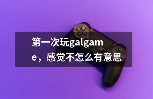 第一次玩galgame，感觉不怎么有意思-第1张-游戏资讯-龙启科技