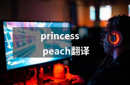 princess peach翻译-第1张-游戏资讯-龙启科技