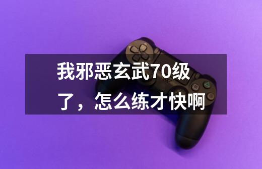 我邪恶玄武70级了，怎么练才快啊-第1张-游戏资讯-龙启科技