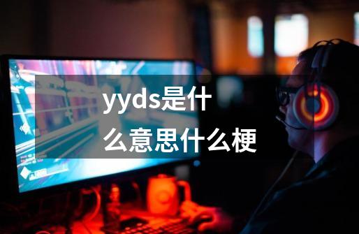 yyds是什么意思什么梗-第1张-游戏资讯-龙启科技