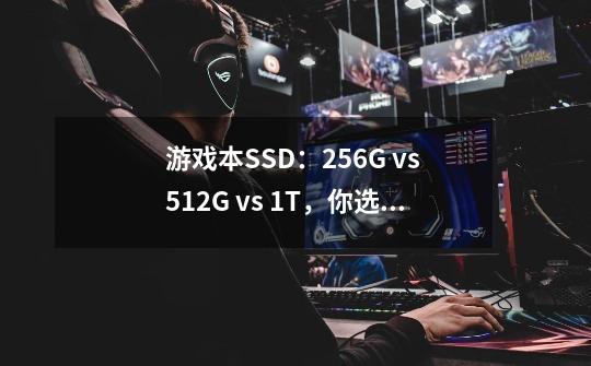 游戏本SSD：256G vs 512G vs 1T，你选哪个-第1张-游戏资讯-龙启科技