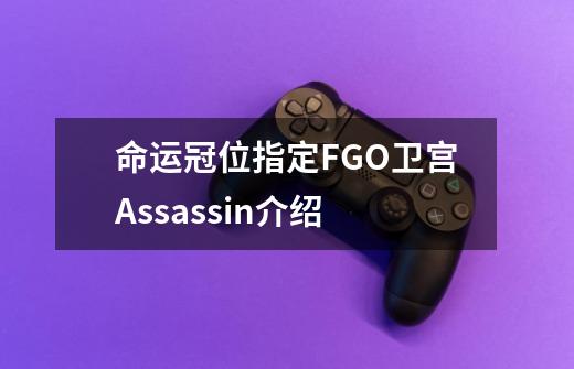 命运冠位指定FGO卫宫Assassin介绍-第1张-游戏资讯-龙启科技