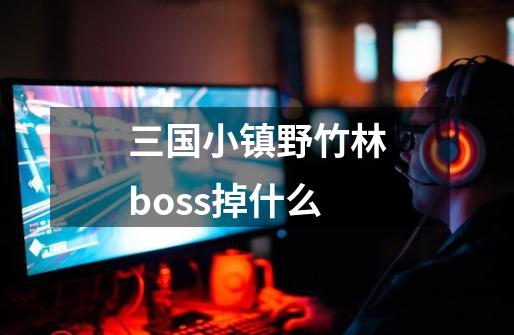 三国小镇野竹林boss掉什么-第1张-游戏资讯-龙启科技