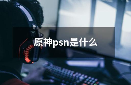 原神psn是什么-第1张-游戏资讯-龙启科技