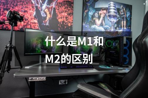 什么是M1和M2的区别-第1张-游戏资讯-龙启科技