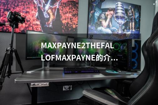 MAX.PAYNE.2.THE.FALL.OF.MAX.PAYNE的介绍-第1张-游戏资讯-龙启科技