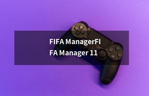 FIFA ManagerFIFA Manager 11-第1张-游戏资讯-龙启科技