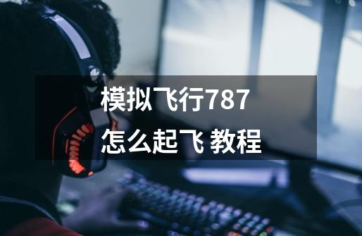 模拟飞行787怎么起飞 教程-第1张-游戏资讯-龙启科技