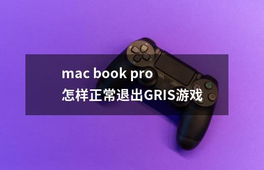 mac book pro怎样正常退出GRIS游戏-第1张-游戏资讯-龙启科技