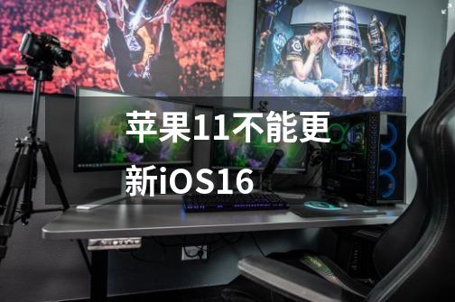 苹果11不能更新iOS16-第1张-游戏资讯-龙启科技