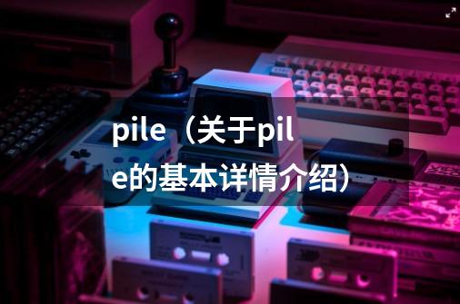 pile（关于pile的基本详情介绍）-第1张-游戏资讯-龙启科技